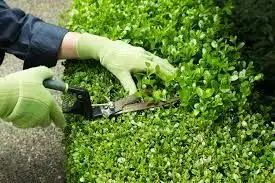 porque-elegir-nuestros-servicios